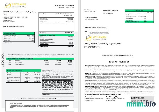 Tadżykistan Spitamen Bank wyciąg z kredytu hipotecznego w formatach Word i PDF 1-2